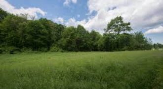2 Plots of Land for Sale